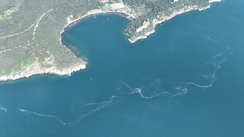 İstanbul'un mide bulandıran kabusu geri döndü - Resim: 4