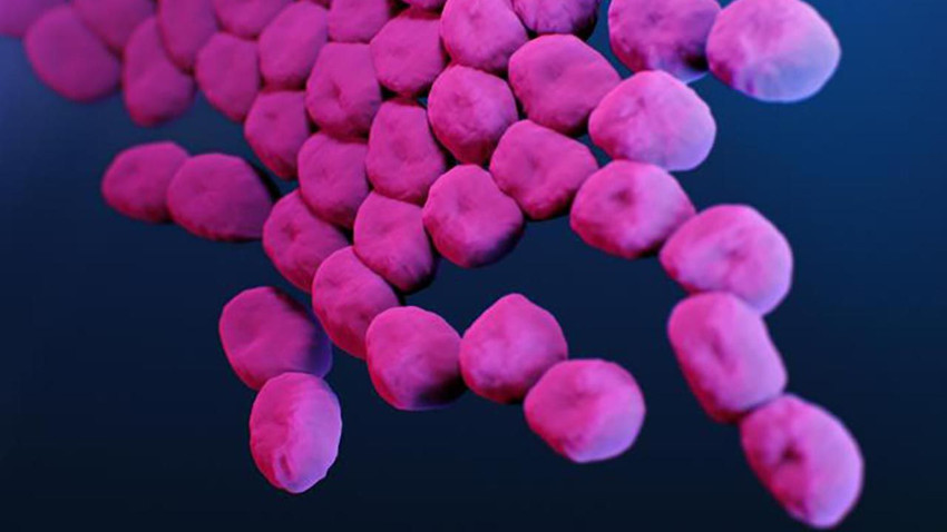 İnsanlığı tehdit eden yeni bir bakteri tespit edildi: Antibiyotikler işlemiyor! - Resim: 1