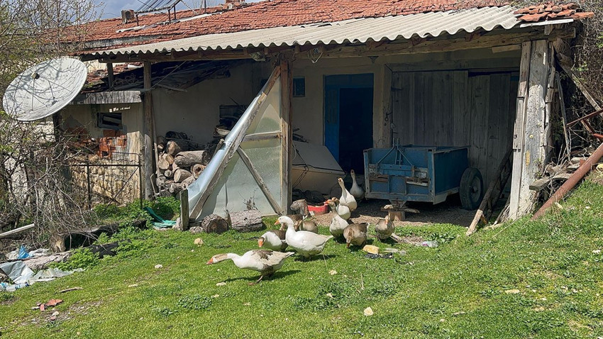 Faydaları saymakla bitmiyor, Karadenizli girişimciler siparişlere yetişemiyor - Resim: 4