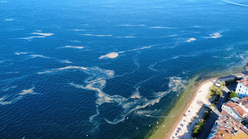 Yazın mide bulandıran kabusu Marmara Denizi'ne geri döndü - Resim: 1