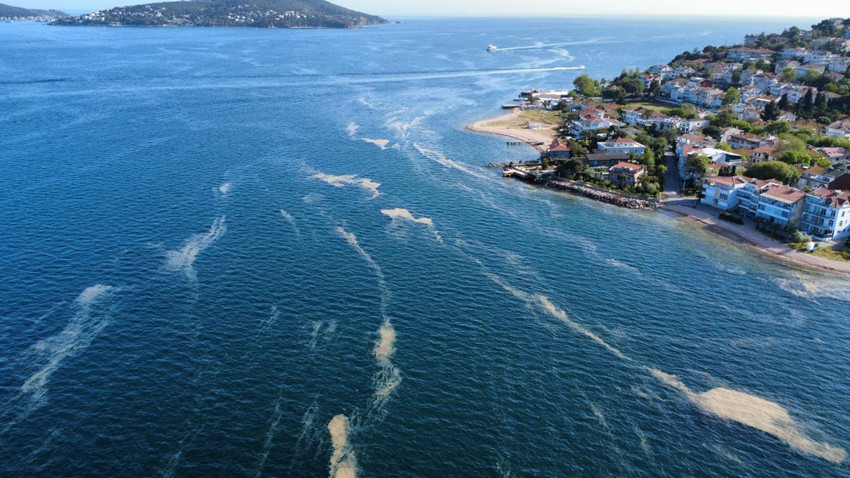 Yazın mide bulandıran kabusu Marmara Denizi'ne geri döndü - Resim: 3