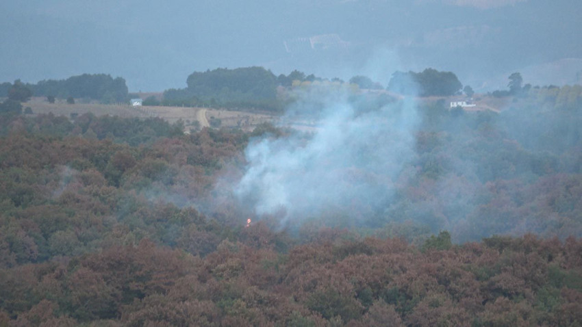 Kocaeli'de orman ve makilik alanlara giriş yasaklandı - Resim: 3