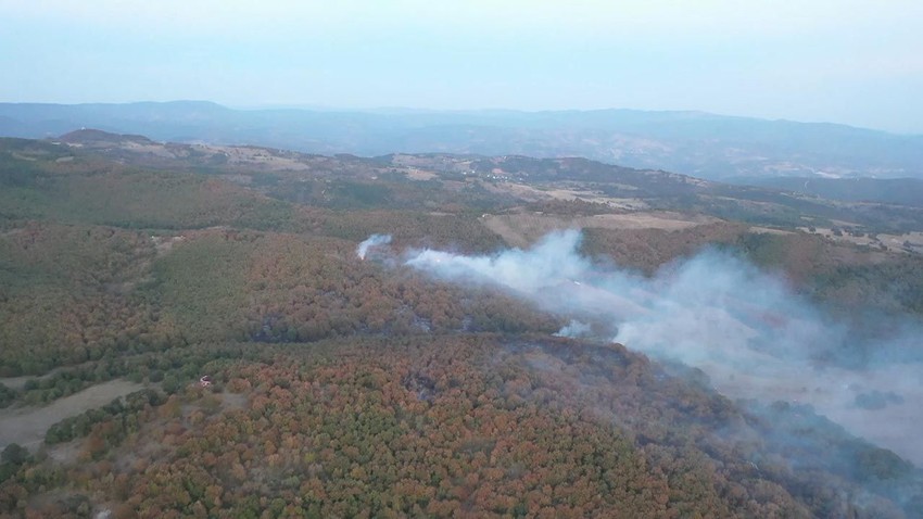 Kocaeli'de orman ve makilik alanlara giriş yasaklandı - Resim: 4