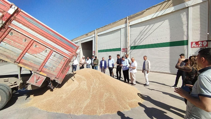 Hasat sezonu açıldı: Kilosu 17 liradan satıldı - Resim: 2