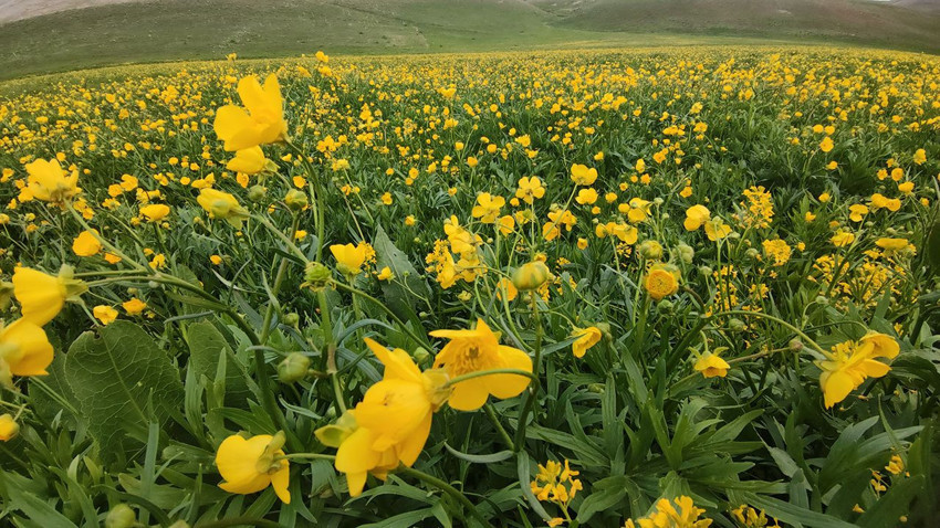 Bu iki fotoğraf aynı ilimizde çekildi: Bir yanda kış diğer yanda bahar - Resim: 1