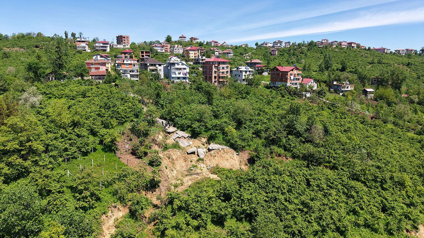 Ormana açılan yol yüzünden vatandaşlar vahşi hayvan korkusuyla yaşıyor - Resim: 1