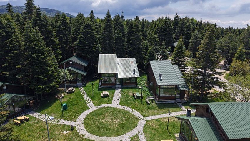 Türkiye'nin karlar altındaki cennetine yaz geldi: Her yer yemyeşil - Resim: 1