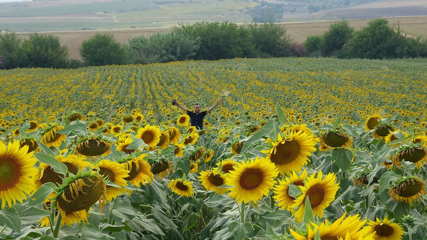 Türkiye'nin sapsarı tarlaları sosyal medyada ''selfie tarlası'' haline geldi - Resim: 4
