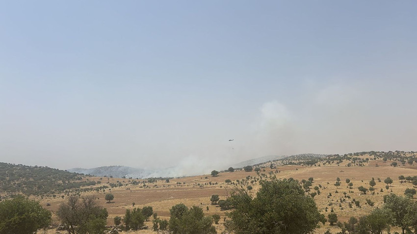 Mardin'de orman yangını - Resim: 2