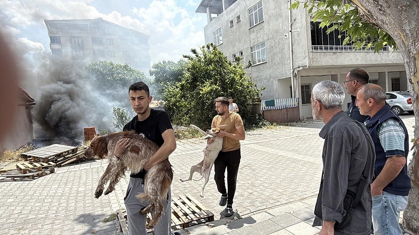 Alevler içerisinde kalan köpekleri tek tek böyle kurtardılar - Resim: 4