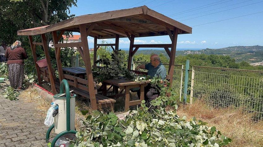 Türkiye'nin en özel kokulu, en özel şifa kaynağında hasat başladı - Resim: 1