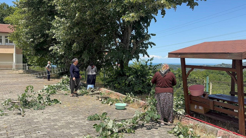 Türkiye'nin en özel kokulu, en özel şifa kaynağında hasat başladı - Resim: 2
