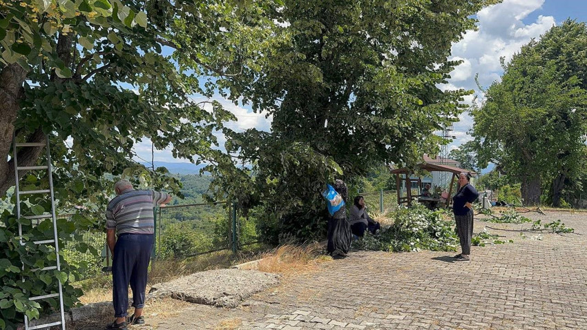 Türkiye'nin en özel kokulu, en özel şifa kaynağında hasat başladı - Resim: 4