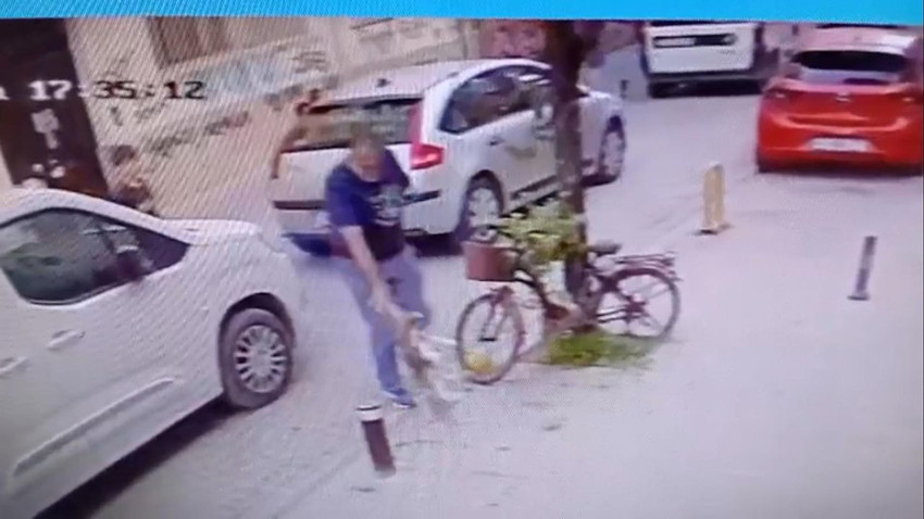 İki ayaklı caniden 4 ayaklı cana sokak ortasında infial yaratan şiddet - Resim: 4