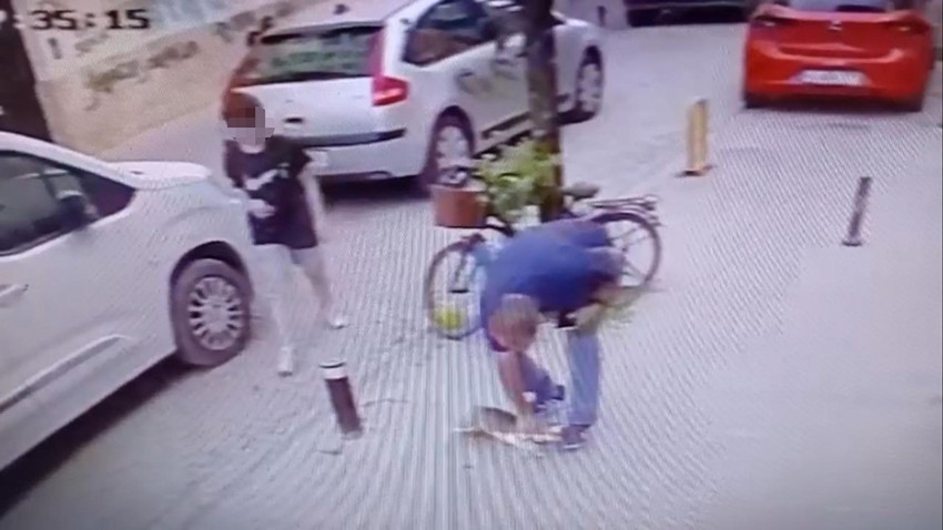 İki ayaklı caniden 4 ayaklı cana sokak ortasında infial yaratan şiddet - Resim: 2