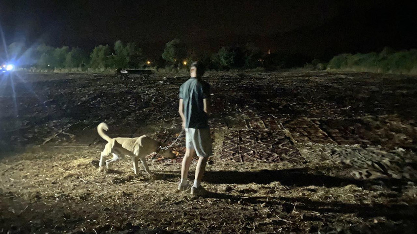 Türkiye'nin en renkli tarlasında gece nöbeti başladı - Resim: 3