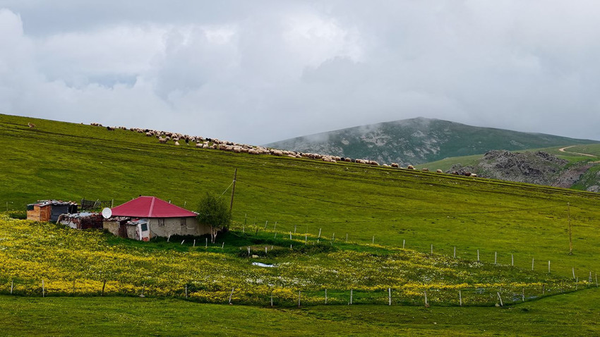 Türkiye'nin kuzeyindeki gizli cennetindeki renk cümbüşü görenleri büyüledi - Resim: 1