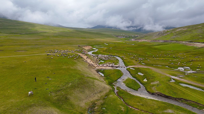 Türkiye'nin kuzeyindeki gizli cennetindeki renk cümbüşü görenleri büyüledi - Resim: 2