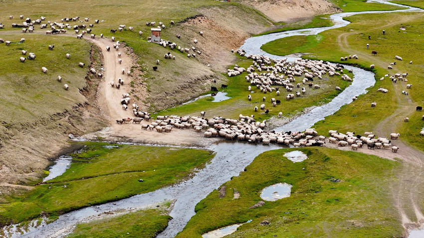 Türkiye'nin kuzeyindeki gizli cennetindeki renk cümbüşü görenleri büyüledi - Resim: 3