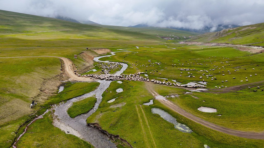 Türkiye'nin kuzeyindeki gizli cennetindeki renk cümbüşü görenleri büyüledi - Resim: 4