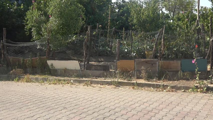 Yalova'da tepki çeken hayvan besleme yasağı - Resim: 2