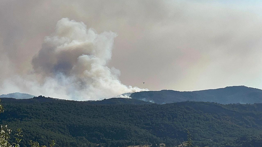 Yangına müdahale eden kahramanlar alevlerin ortasında kaldı: 10 şehit - Resim: 3
