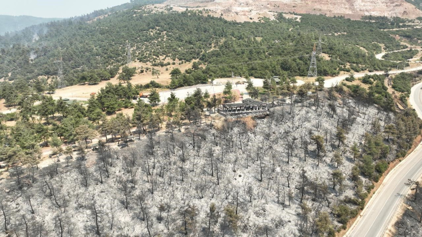 ''Yeşil Bursa'''yı karanlık bir cehenneme çeviren yangının boyutu ortaya çıktı - Resim: 1