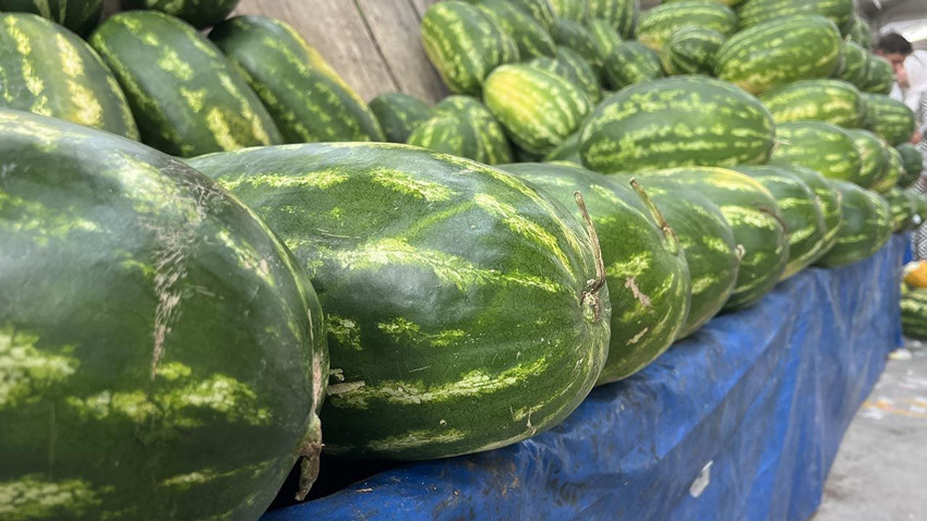 Karpuz seçemeyenlerin yardımına yapay zeka yetişiyor - Resim: 4