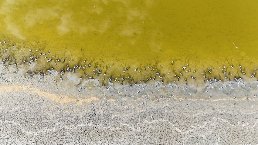 Türkiye'nin cennetini cehenneme çeviren ölümlerin nedeni belli oldu - Resim: 1