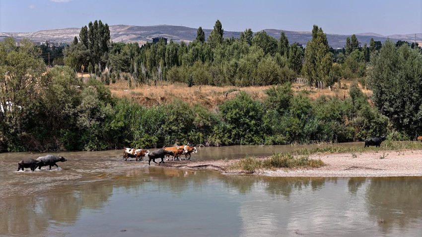 Gören Serengeti Ovası sanıyor ama burası Türkiye'de... - Resim: 4