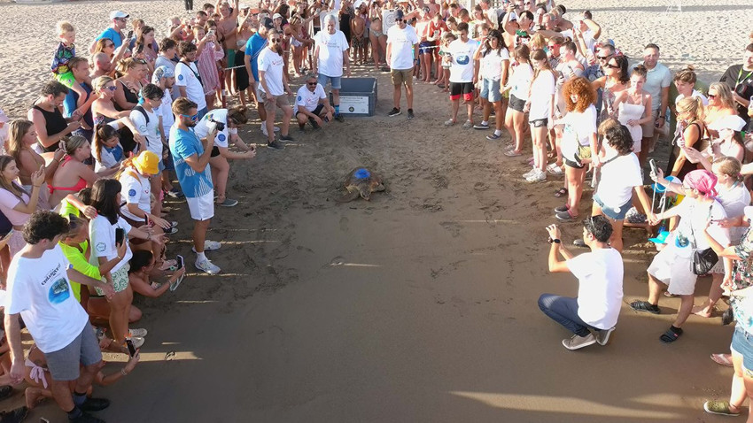 Türkiye'nin ilk yerli uydu takip cihazı caretta carettaya takıldı - Resim: 3