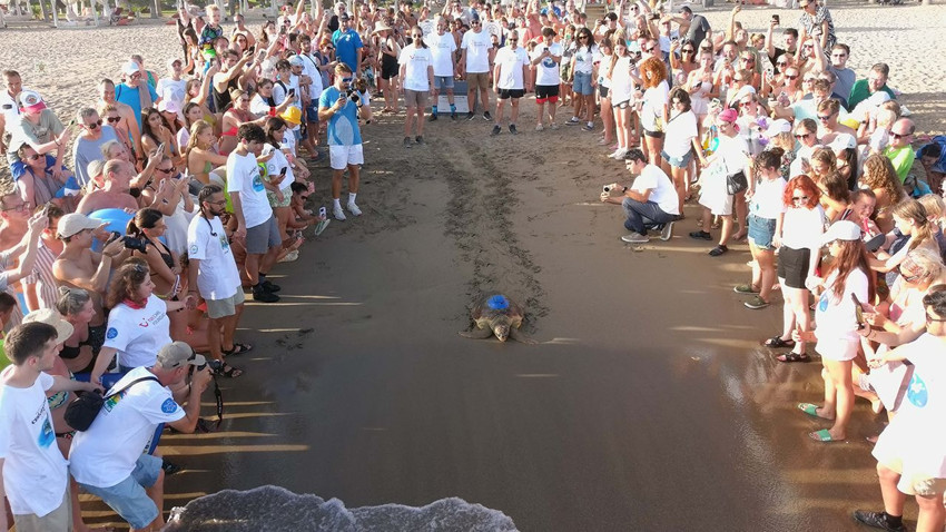 Türkiye'nin ilk yerli uydu takip cihazı caretta carettaya takıldı - Resim: 2