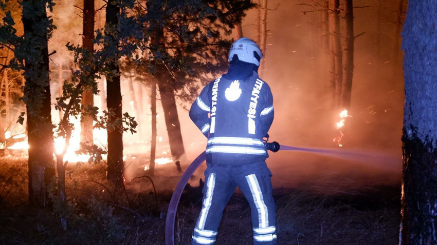 Edirne'de orman yangını: Alevlerin evlere sıçramasına ramak kaldı - Resim: 1
