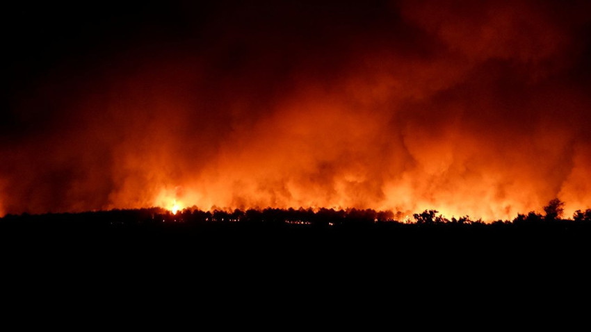 Edirne'de orman yangını: Alevlerin evlere sıçramasına ramak kaldı - Resim: 2