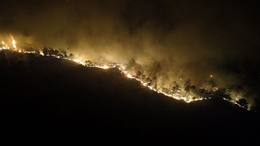 Edirne'de orman yangını: Alevlerin evlere sıçramasına ramak kaldı - Resim: 3