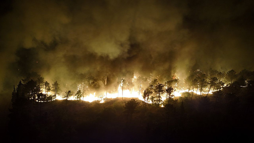 Edirne'de orman yangını: Alevlerin evlere sıçramasına ramak kaldı - Resim: 4