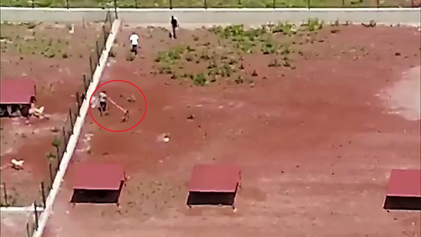 Belediyenin hayvan barınağından kan donduran görüntüler! - Resim: 1