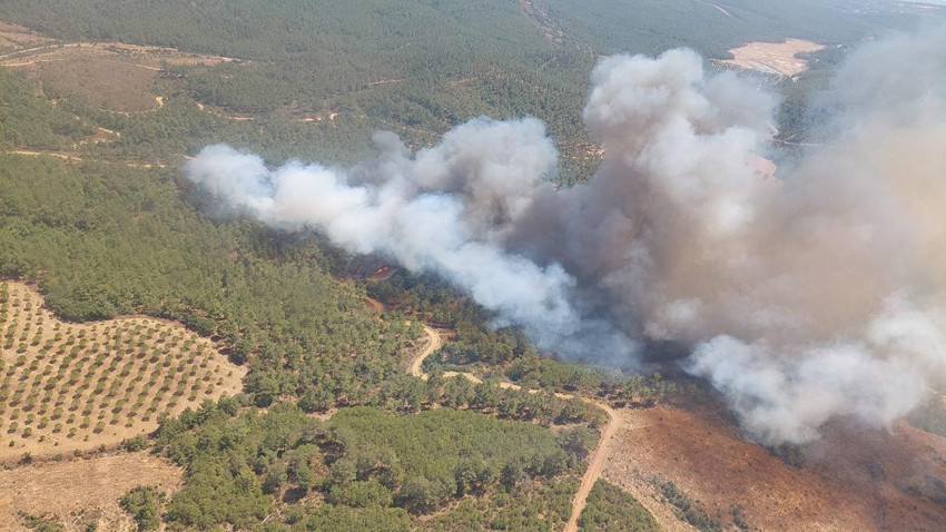 Çanakkale'de yine orman yangını - Resim: 4