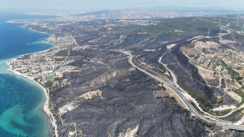 Çanakkale'deki orman yangınının ardından yürek yakan manzara - Resim: 1