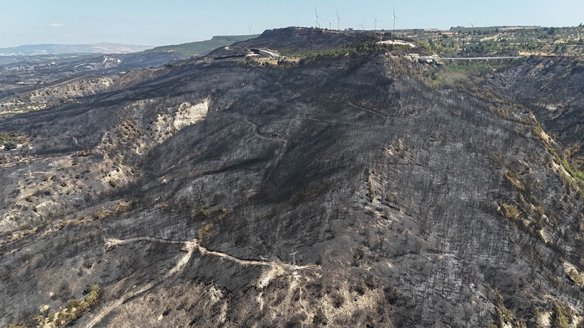 Çanakkale'deki orman yangınının ardından yürek yakan manzara - Resim: 2