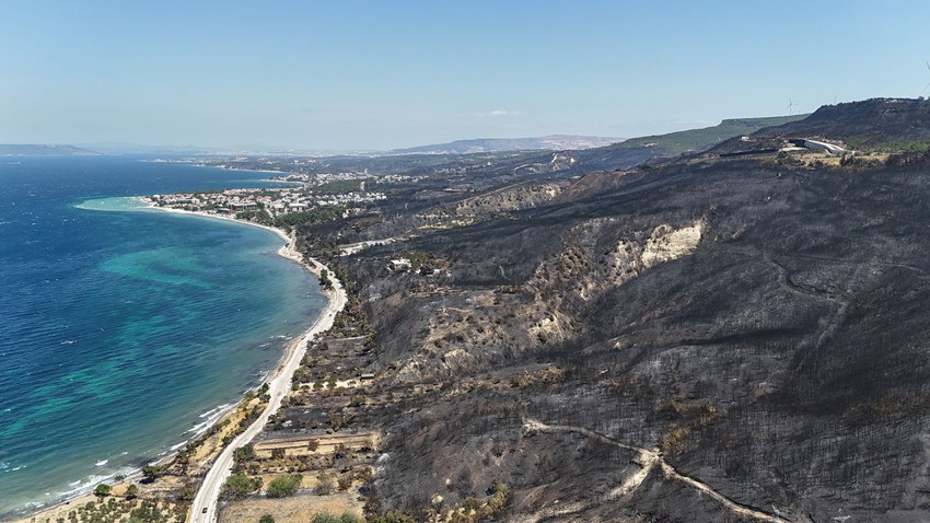 Çanakkale'deki orman yangınının ardından yürek yakan manzara - Resim: 3