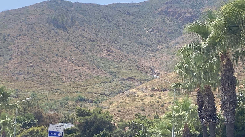 2022'de yangın felaketinin yaşandığı Marmaris'ten sevindiren görüntüler - Resim: 2