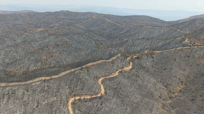 2022'de yangın felaketinin yaşandığı Marmaris'ten sevindiren görüntüler - Resim: 3