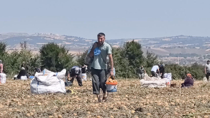 Hasattan vazgeçti, vatandaşlara ücretsiz dağıttı - Resim: 4