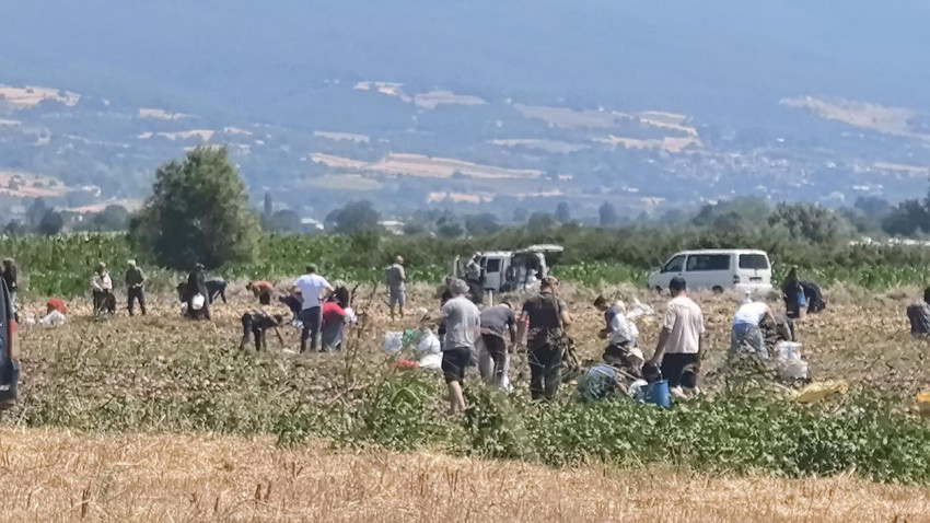 Hasattan vazgeçti, vatandaşlara ücretsiz dağıttı - Resim: 1