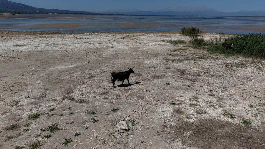 Korkumuz gerçek oldu: Bir zamanların cennet gölü vefat etti - Resim: 4