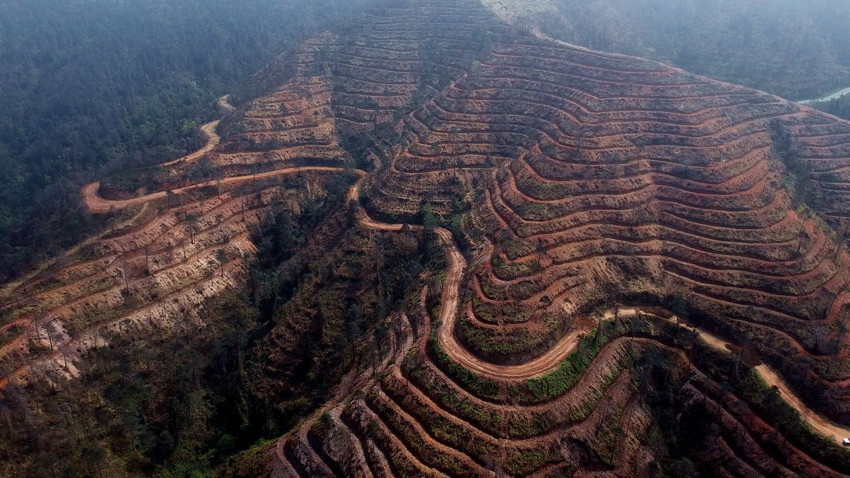 Küle dönen ormanlık alanlarımızı yeniden yeşertilmesi için kritik uyarı - Resim: 2