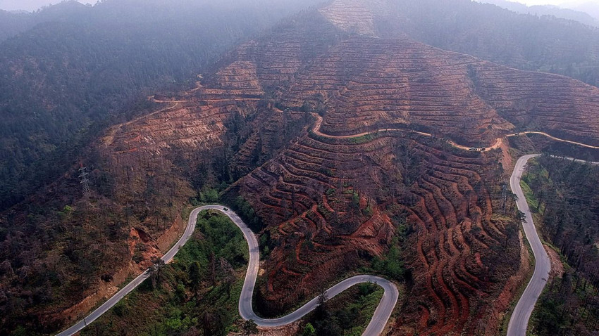 Küle dönen ormanlık alanlarımızı yeniden yeşertilmesi için kritik uyarı - Resim: 1