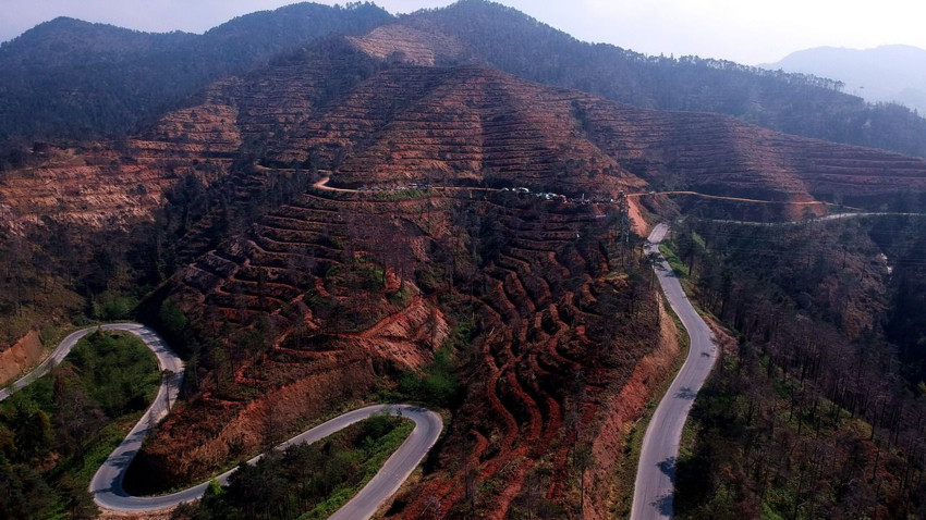 Küle dönen ormanlık alanlarımızı yeniden yeşertilmesi için kritik uyarı - Resim: 3