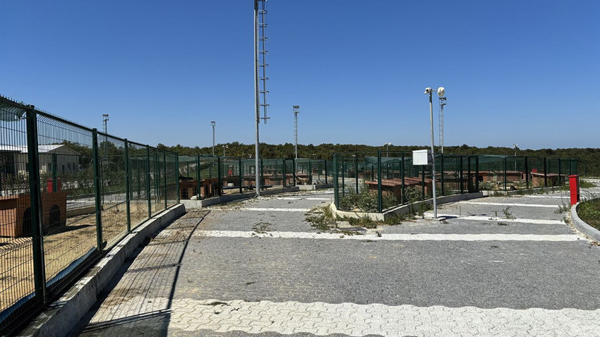 Valiliğin ''toplayın'' talimatı sonrasında İstanbul'da sokak hayvanları toplanmaya başladı! - Resim: 3